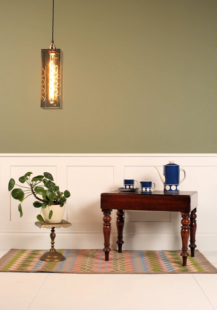 Mid size smoked glass pendant light, coffee table with pot, green plant with sage green background