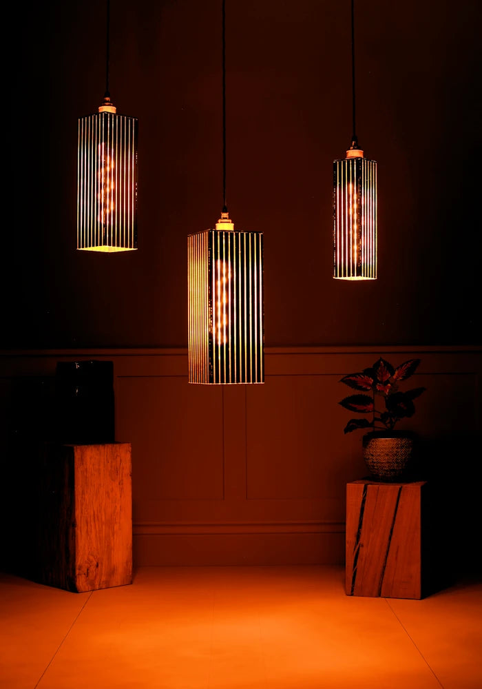 Three pendant lights hanging in a dimly lit room with wooden stands and a plant.