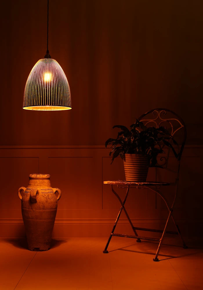 Pendant light fixture casting a warm glow in a dimly lit room with a plant and decorative vase.