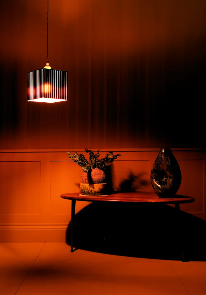 Modern pendant light fixture in a dimly lit room with a table and decorative items.