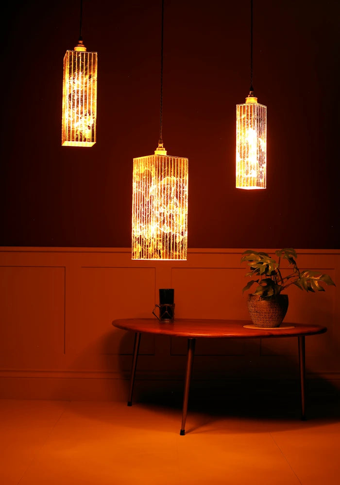 Three pendant lights hanging above a table with a plant in a dimly lit room.