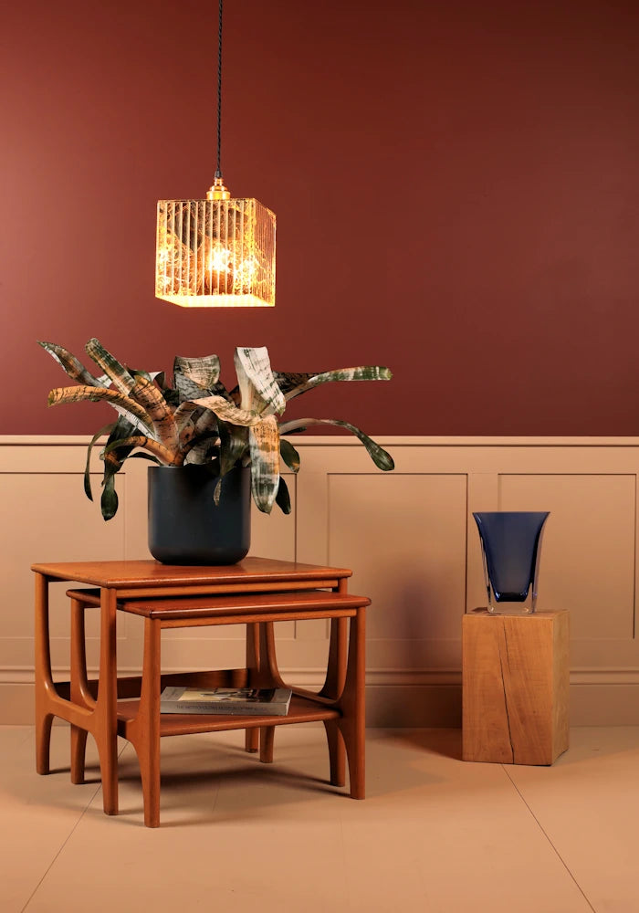 Gold leaf pendant cubed light hanging over plant with red and cream background