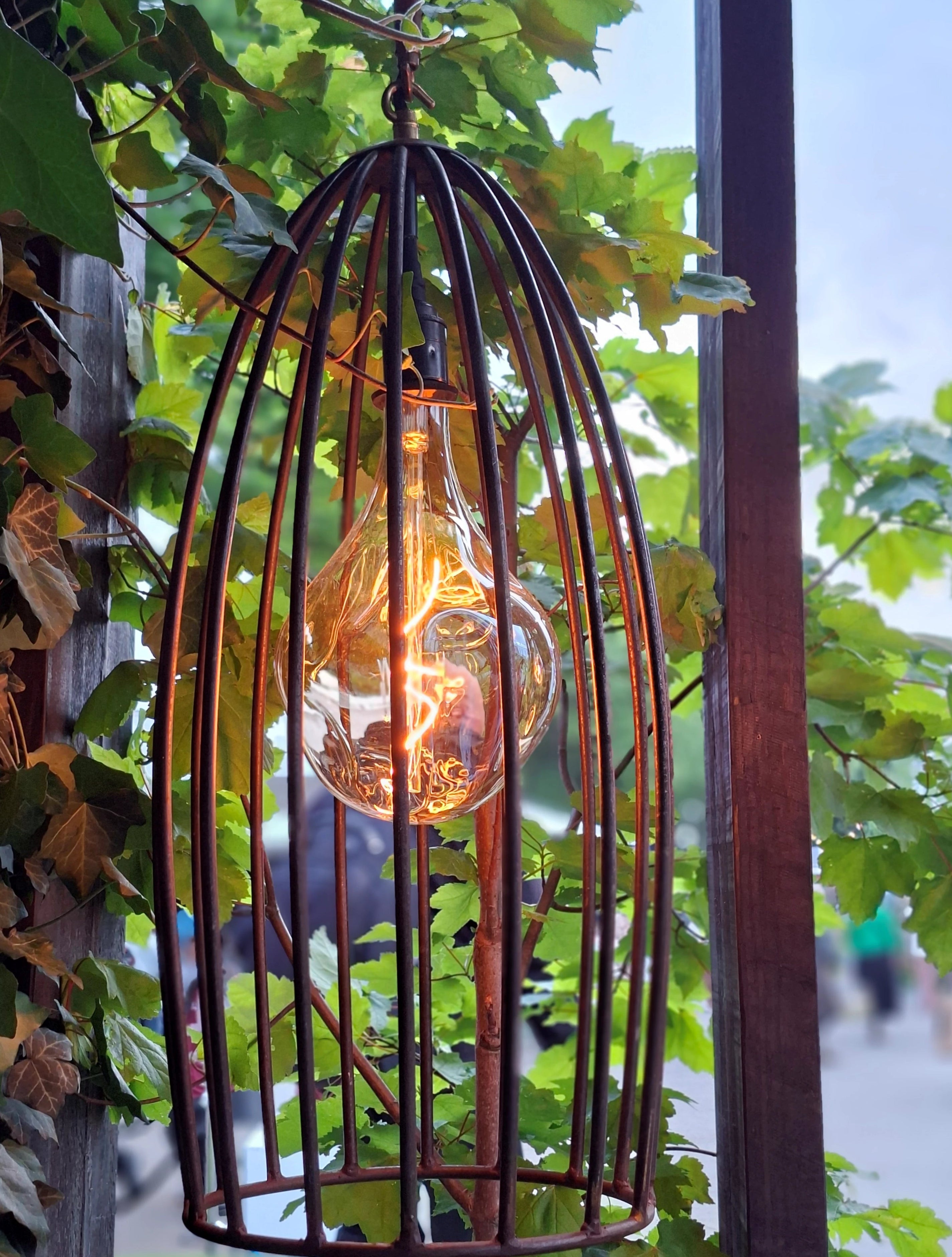 Decorative light bulb in a metal cage hanging among green leaves