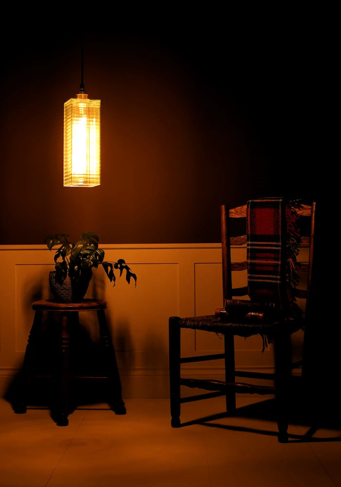 Dark room with a hanging light fixture casting shadows on a chair and plant.