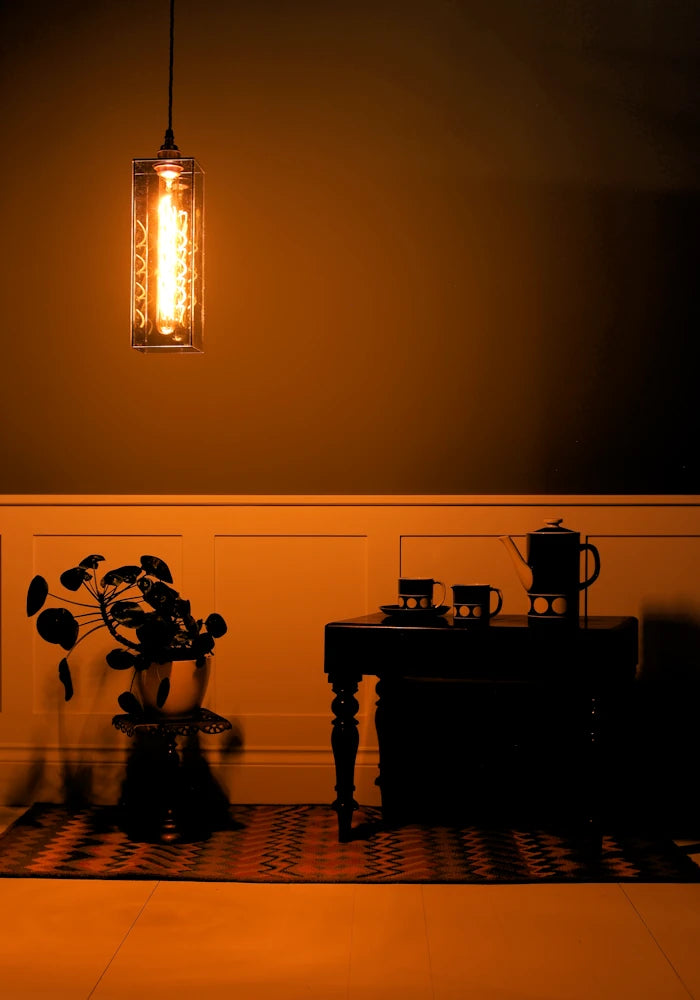 Mid size smoked glass pendant light, coffee table with pot, green plant with dimly lit background