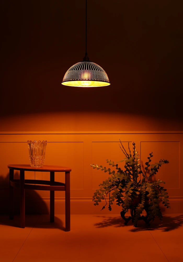 Black & gold dome prismatic glass pendant light hanging over coffee table, green leaf plant in dimly lit room