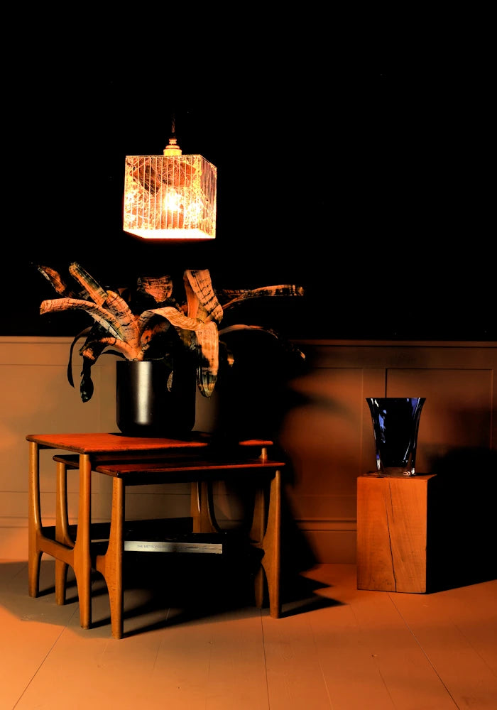 Gold leaf pendant cubed light hanging over plant in darkly lit room