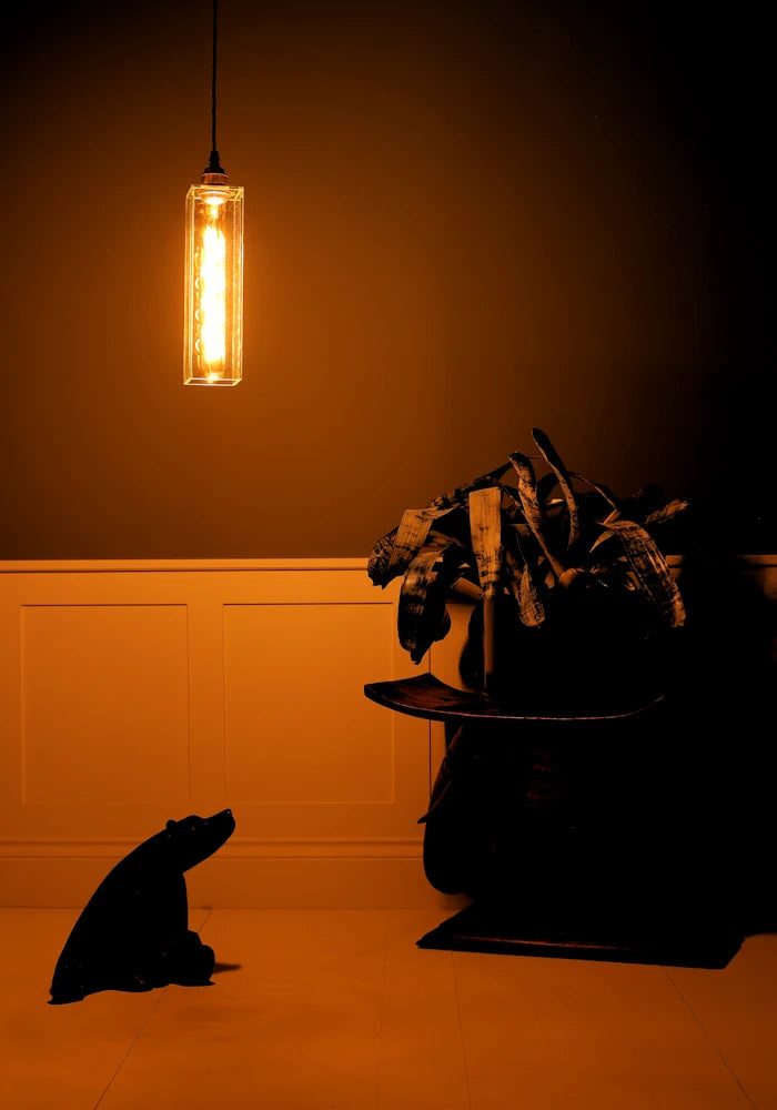 Elegant long clear glass pendant light hanging over small bear statue, wooden carved elephant with pot plant, in dimly lit room