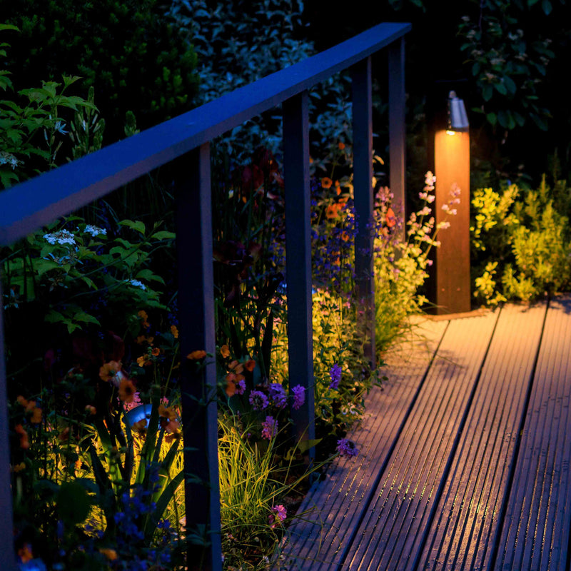 Garden pathway with wooden deck and illuminated plants at night